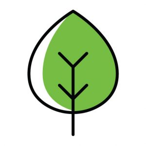 Green leaf icon