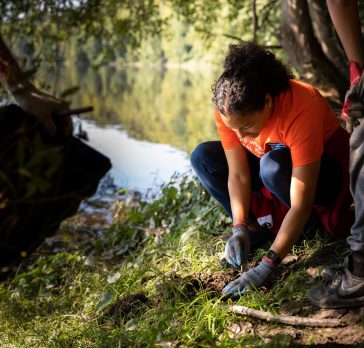 Volunteer planting tree