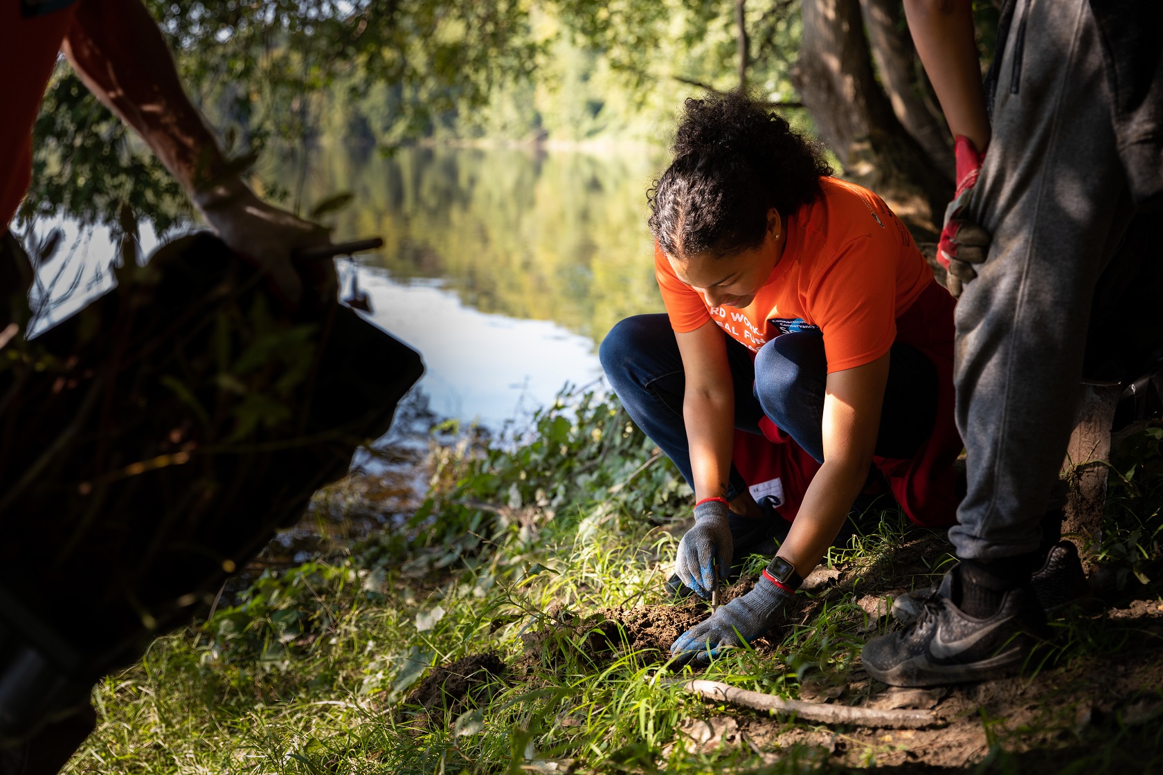 Volunteer planting tree