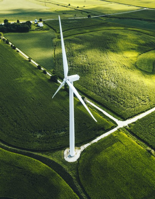 Wind Mill