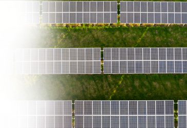Rows of solar panels on green grass