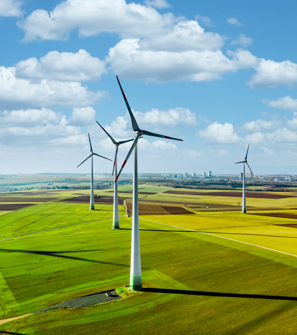 wind farm